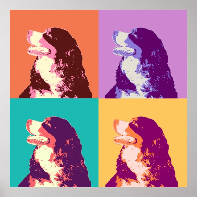 Póster Bernese Mountain Dog Pop Art (Frente)