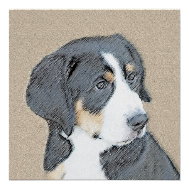 Póster Bernese Mountain Dog Puppy Painting - Arte Origina (Frente)