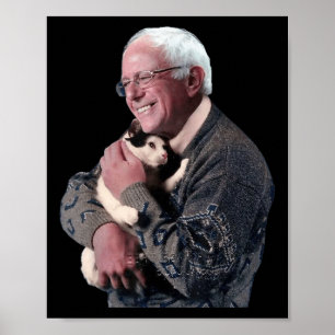 Poster Bernie Sanders Abraçando Gato Camisola Bela-Camisa