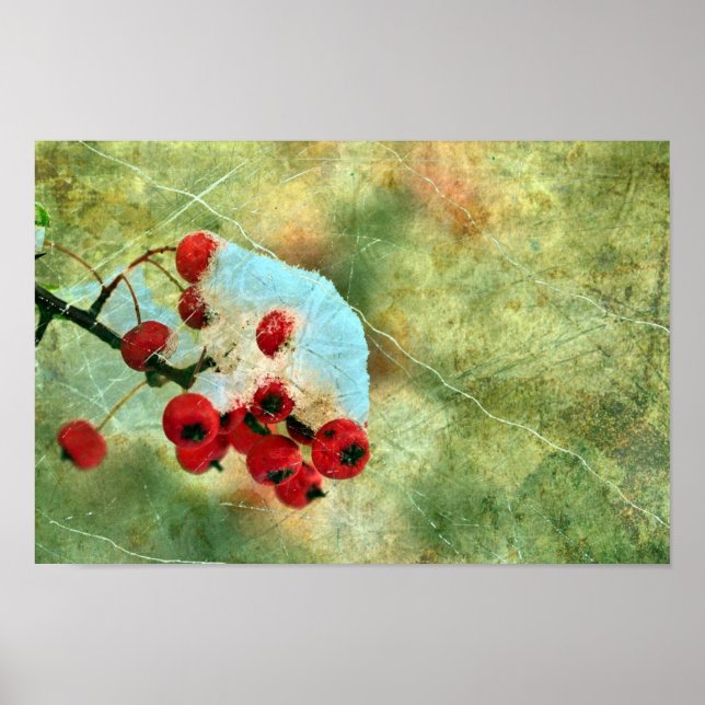 Póster Berries (Frente)