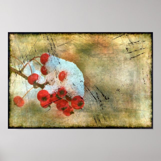 Poster Berry Cold Grunge (Frente)