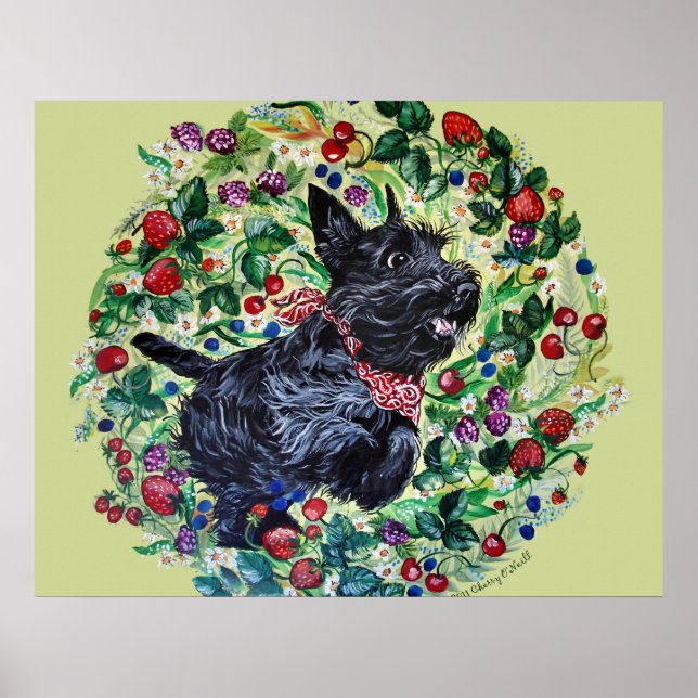 Poster Berry Scottish Terrier! (Frente)