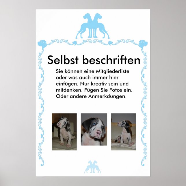 Poster Beschriftet (Frente)
