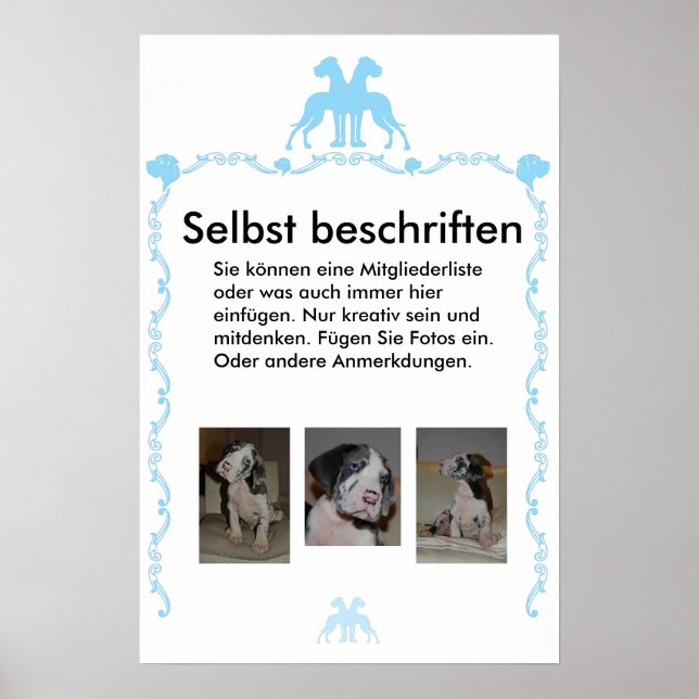 Poster Beschriftet (Frente)
