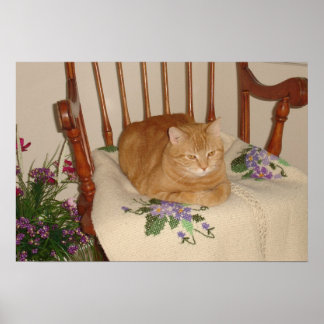 Póster besha