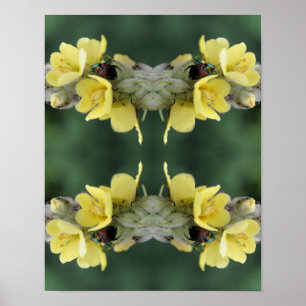 Poster Besouro Na Abstrato De Flor Mullein Selvagem