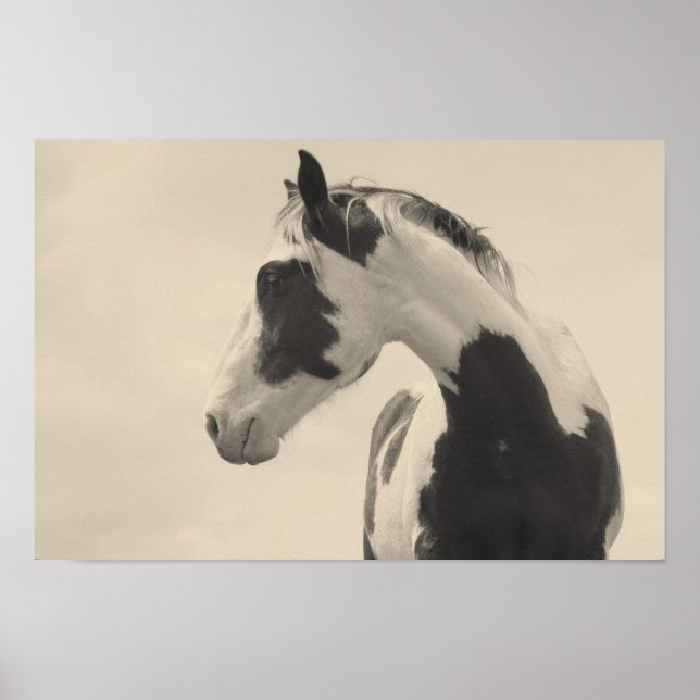 Poster Besta Nobel (Frente)