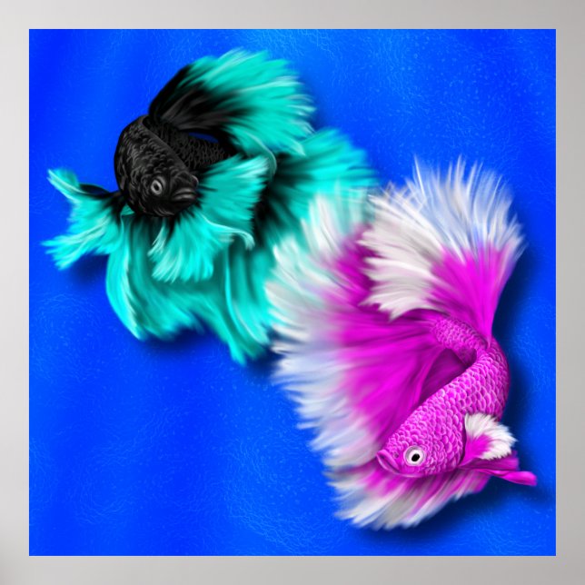 Poster Betta Fish Duo, preto e branco, branco e rosa (Frente)