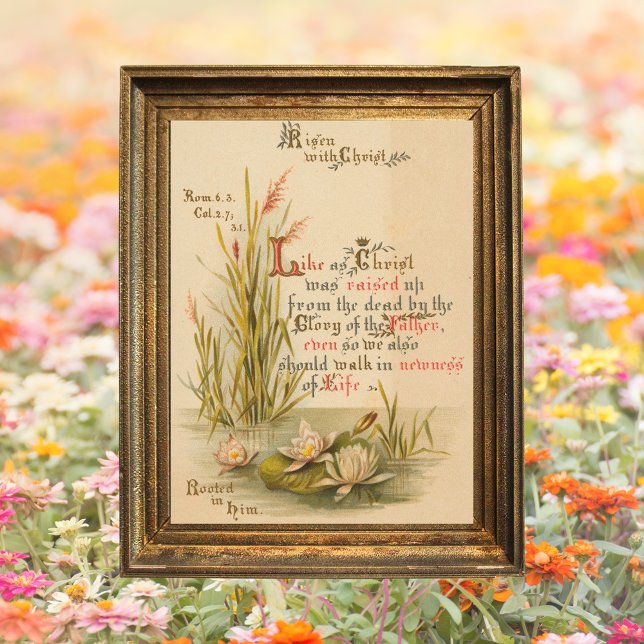 Poster Bíblia católica cristã é Páscoa risen (Religious Christian Catholic Bible Verse Resurrection Jesus Christ is Risen Floral Easter Poster)