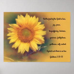 Poster Bíblia de Flor Sunflower