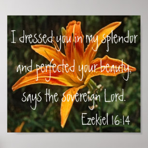 Póster bíblia do tigre Lily versículo Ezekiel 16:14