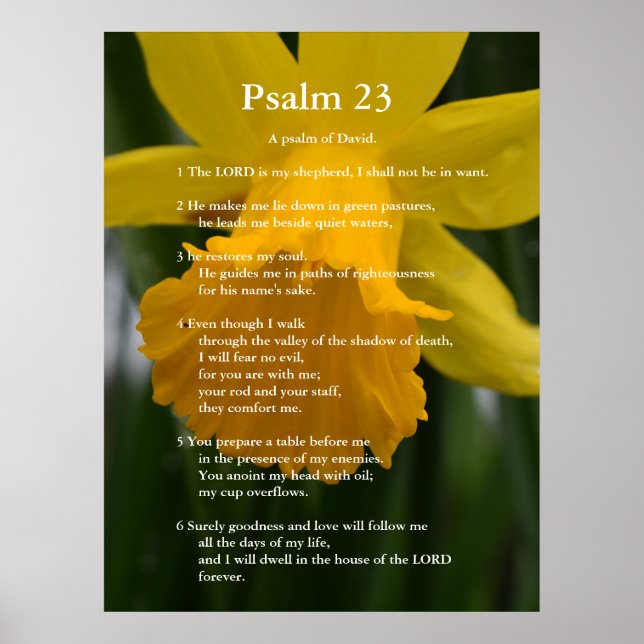 Póster Bíblia Salm 23 - Versões de script. daffodil amare (Frente)