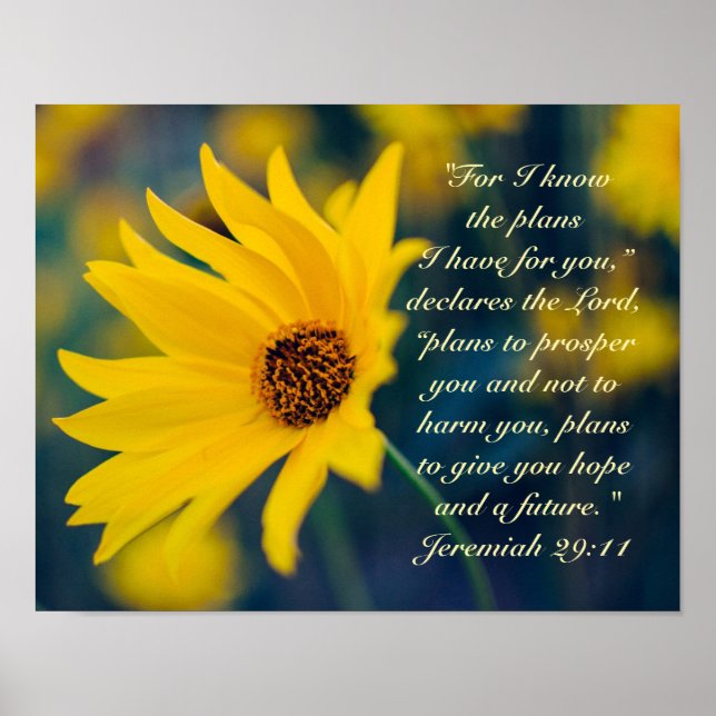 Póster Bíblia Verse Jeremiah 29:11, flor Amarela (Frente)