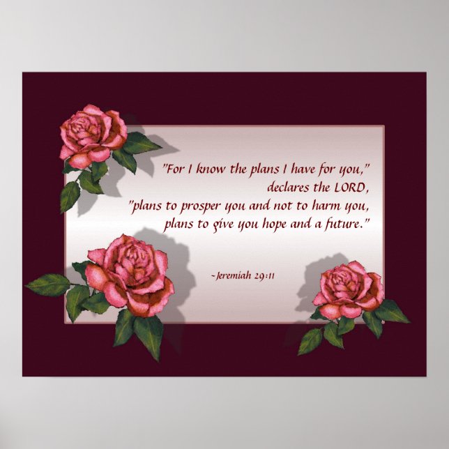 Póster Bíblia Verso: Rosas Rosa: Jeremiah 29:11: Arte (Frente)