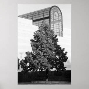 Póster Biblioteca de Michigan & centro histórico