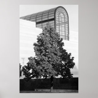 Póster Biblioteca do Michigan e Centro Histórico