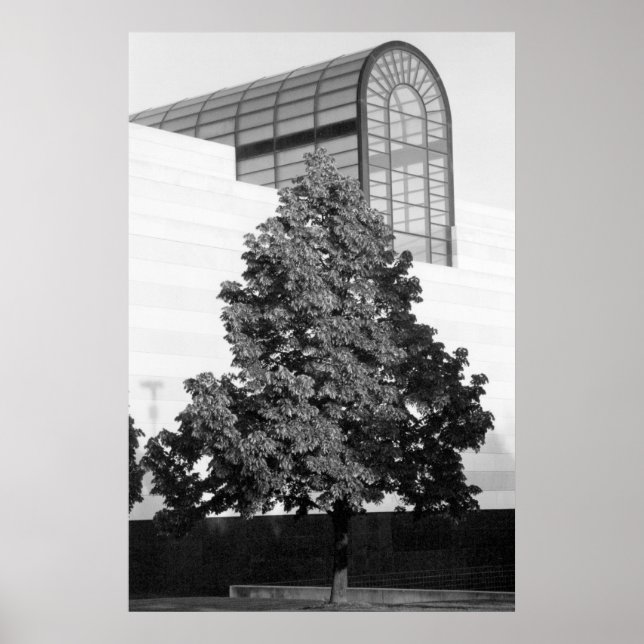 Póster Biblioteca do Michigan e Centro Histórico (Frente)