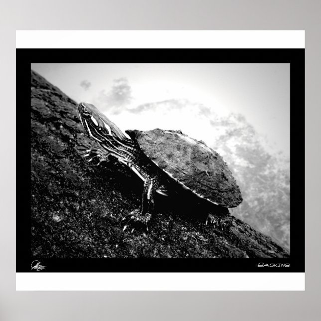 Poster Bicho (Frente)