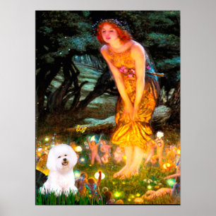 Póster Bichon Frise 1 - MeidEve