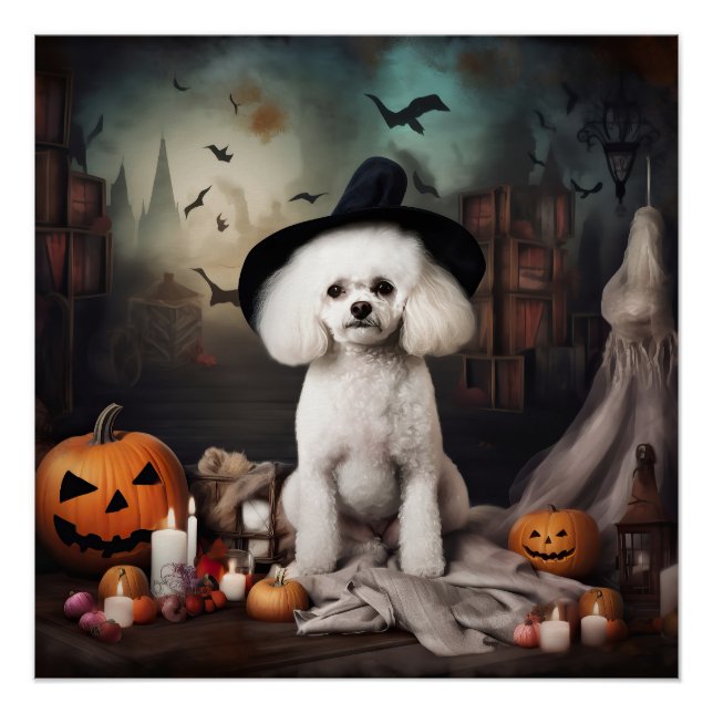 Póster Bichon Frise Abóboras Halloween Assustador (Frente)