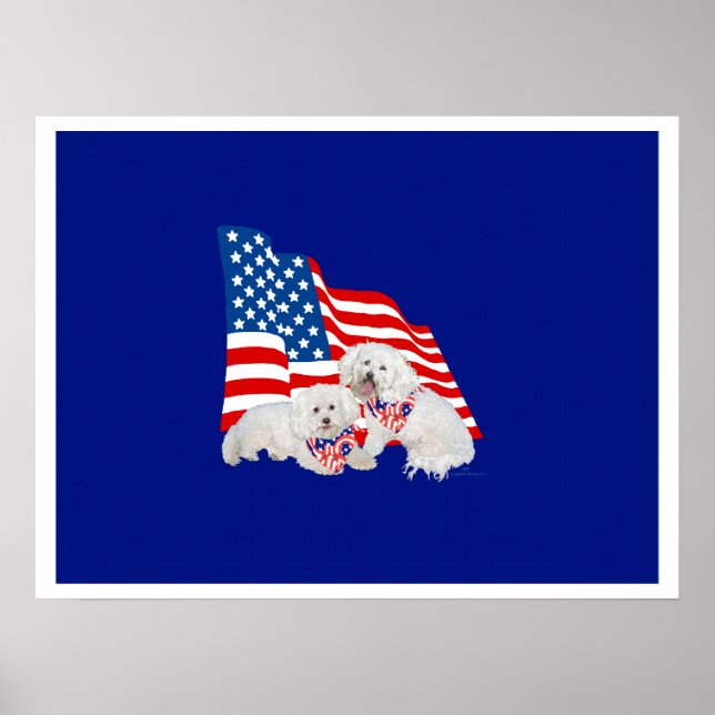 Poster Bichon Frise Bandeira Americana (Frente)
