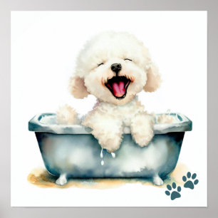 Poster Bichon Frise Dog