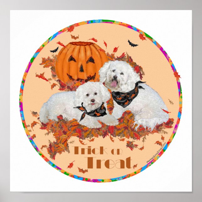Póster Bichon Frise Halloween (Frente)