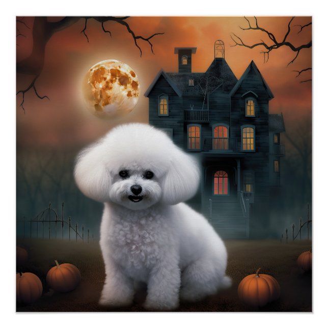 Póster Bichon Frise Halloween Assustador (Frente)