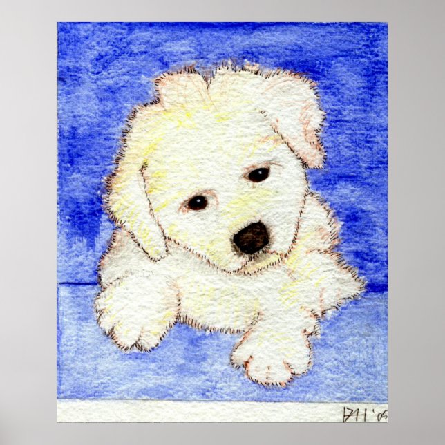 Póster Bichon Frise Puppy Dog Retrato (Frente)