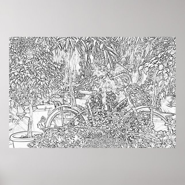 Póster Bicicleta de Arte em Linha Preta e Branca (Frente)