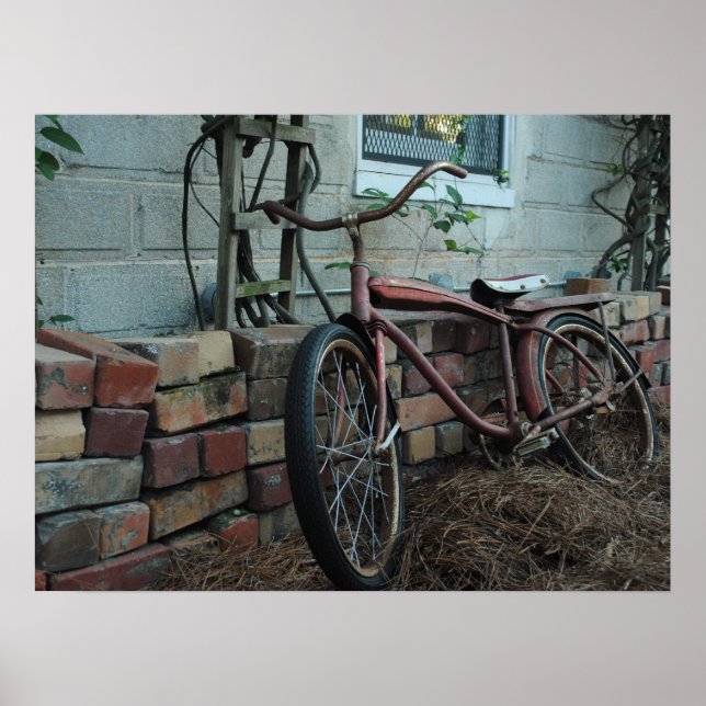 Póster Bicicleta Vintage (Frente)