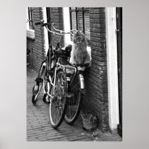 Poster Bicicletas de Amsterdã - Foto em preto e branco