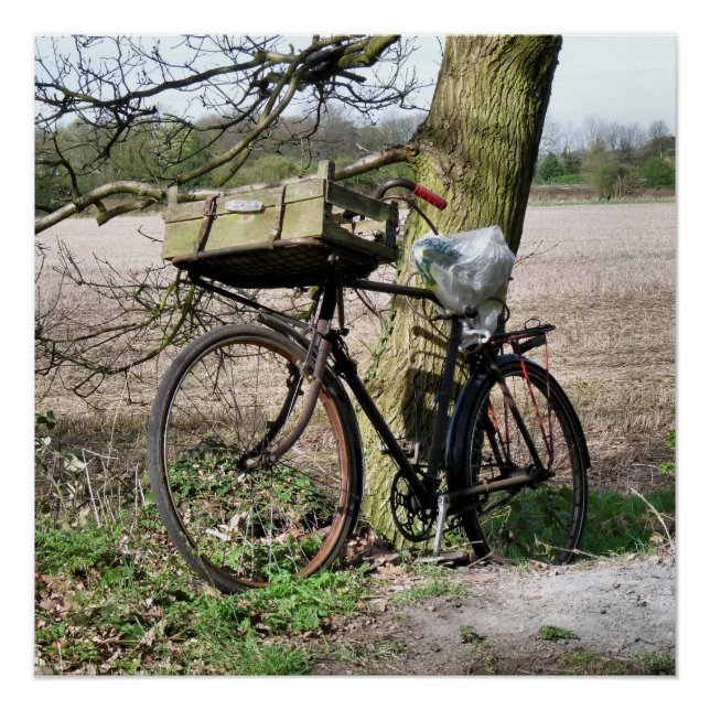 PÓSTER BICICLO (Frente)