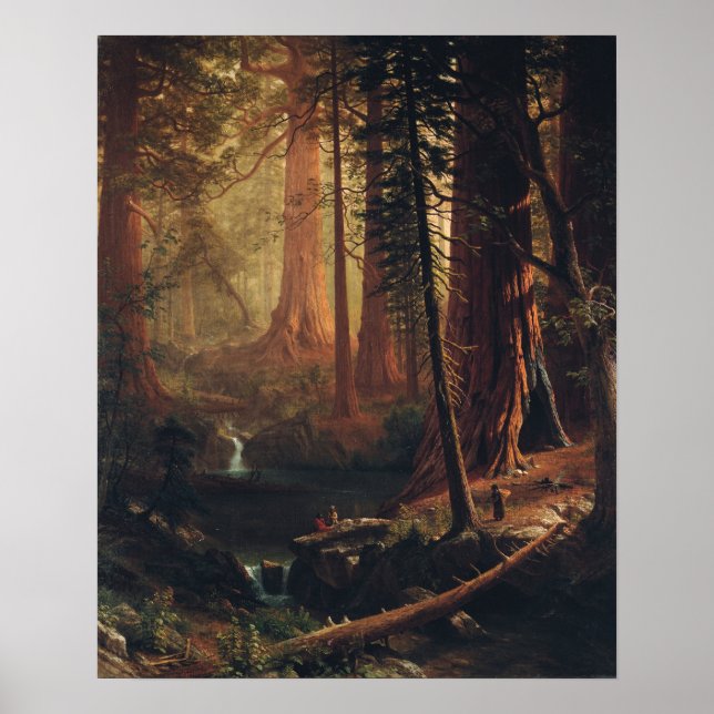 Poster Bierstadt - Árvores De Sequoias Vermelhas Gigantes (Frente)