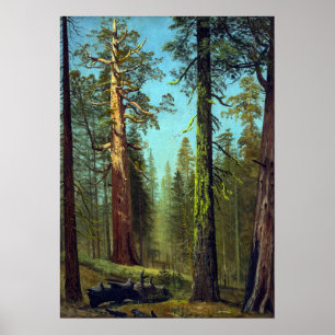 Poster Bierstadt - Gruzzly Giant Sequoia Mariposa Grove
