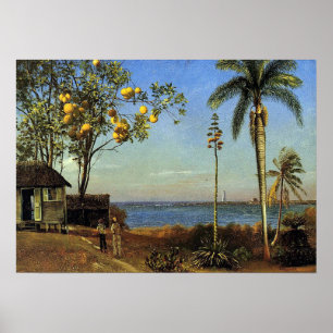 Poster Bierstadt - Uma Visão Nas Bahamas