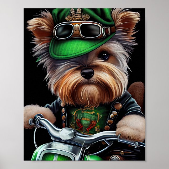Poster Biewer Terrier Dog Dirigindo Ruas de bicicleta. Di (Frente)