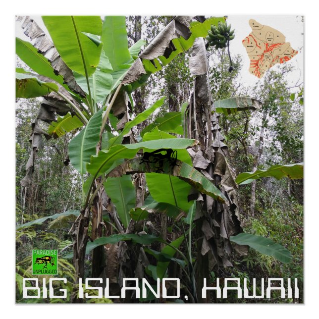 PÓSTER BIG ISLAND HAWAII (Frente)
