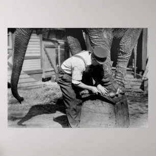 Póster Big Pedicure, 1910