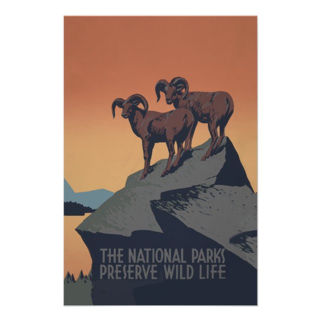 Póster Bighorn Sheep American West Willife (Frente)