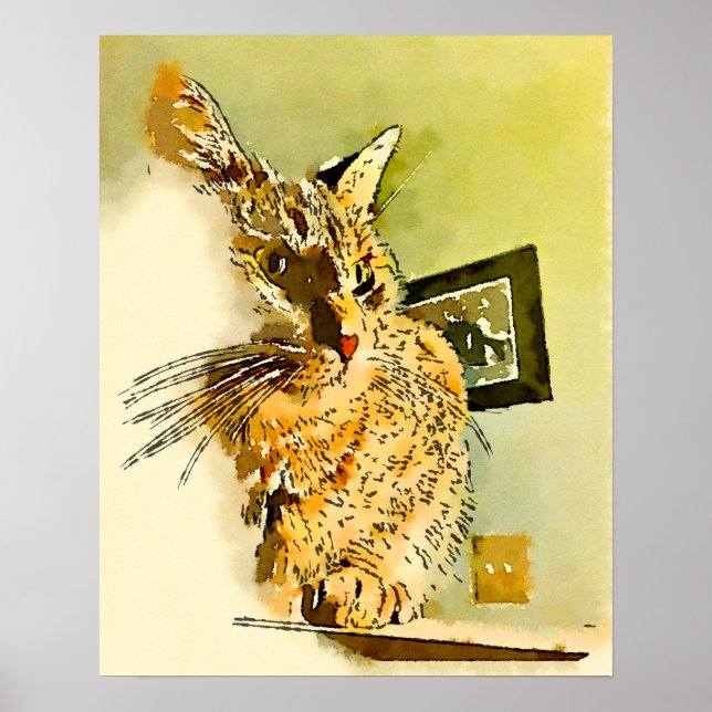 Póster Bigodes de Gatinho Coração Nariz Aquarela (Frente)