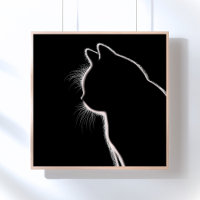 Bigodes no Escuro | Silhueta de Bigode de Gato