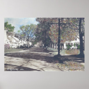 Póster Bingham, Maine - cena da queda na rua principal