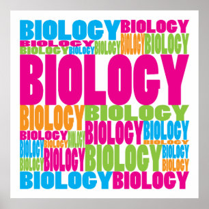 Póster Biologia colorida