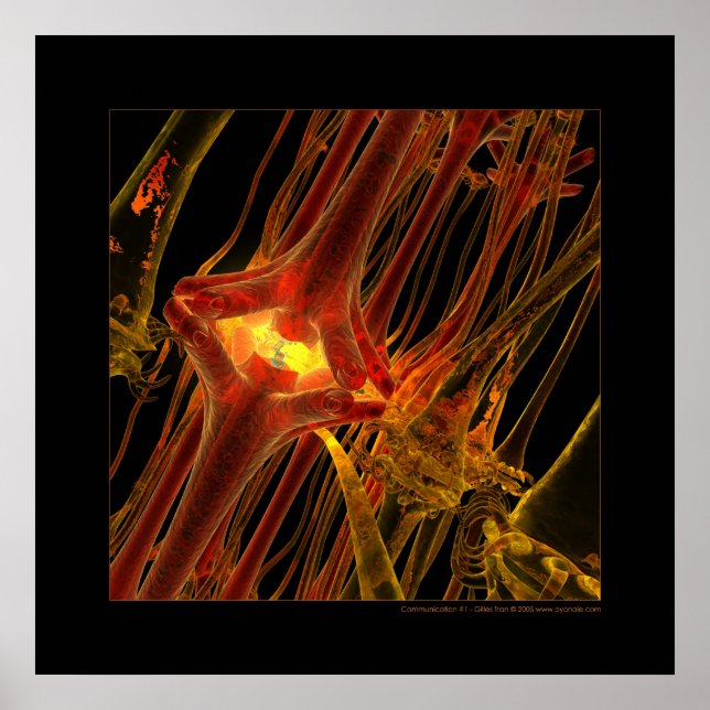 Poster Biologia: comunicação nº 1 (Frente)