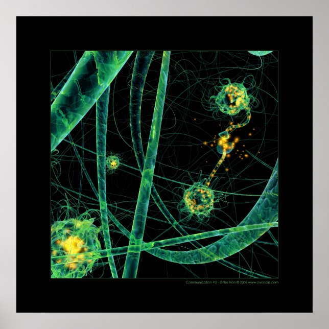 Poster Biologia: comunicação nº 2 (Frente)
