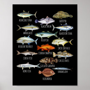 Poster Biologia das Espécies de Peixes Tipos de Peixes de