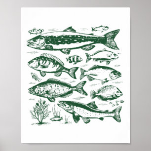 Poster Biologia de Espécies de Peixes Retro Tipos de Peix