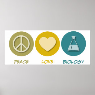 Poster Biologia do Amor pela Paz