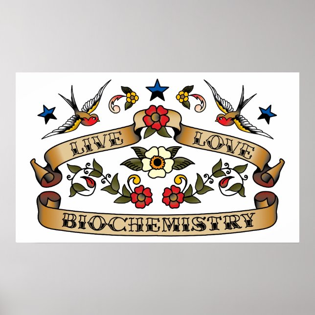 Póster Bioquímica do Amor ao Vivo (Frente)